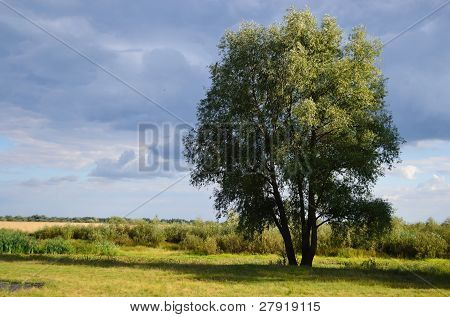 Paesaggio estivo vicino Stolin