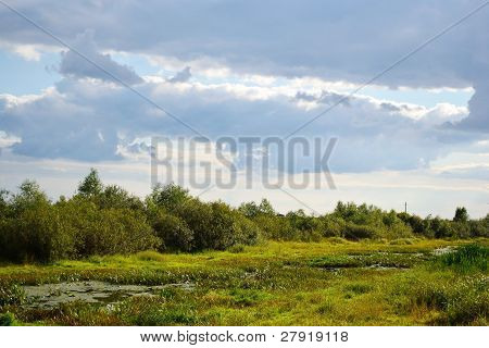 Paesaggio estivo vicino Stolin