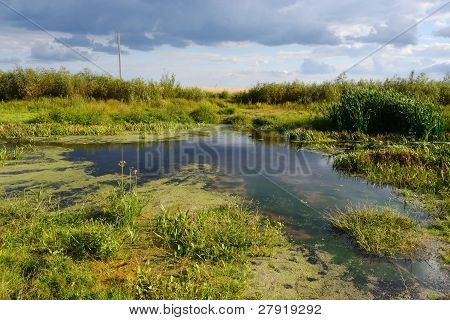 Paesaggio estivo vicino Stolin