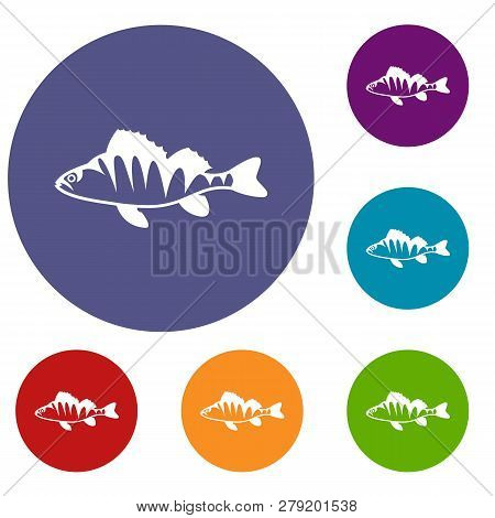 European Perch, Perca Fluviatilis Icons Set In Flat Circle Reb, Blue And Green Color For Web