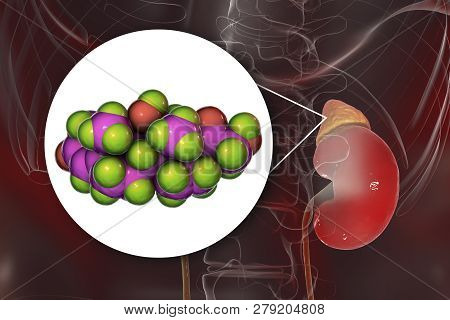 Molecule Of Cortisol Hormone And Adrenal Gland, 3d Illustration. Cortisol Is A Steroid Hormone Of Gl