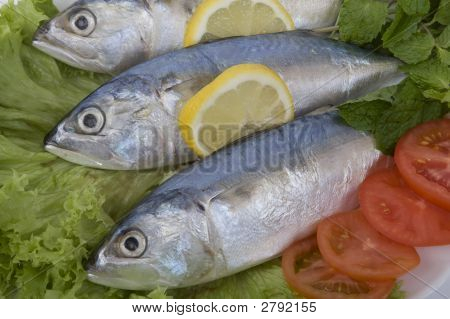 新鮮な魚