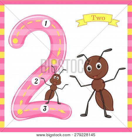 Cute Kids Flash Number Two Trace With 2 Ants For Kids Learning To Count And Write.