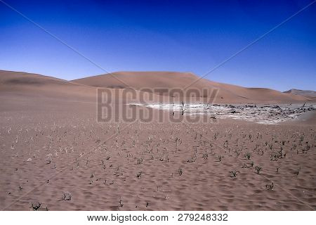 Dunes Of Deadvlei In The Namib Desert, Africa, Namibia, Hardap, Namib Naukluft Park