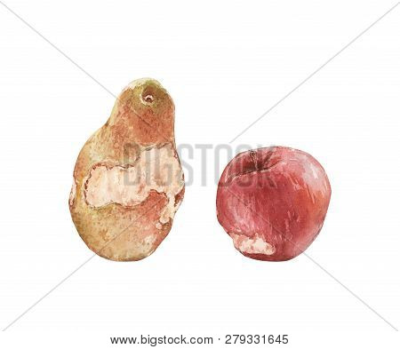 Red Apple And Yellow Pear Bitten Watercolor Illustration