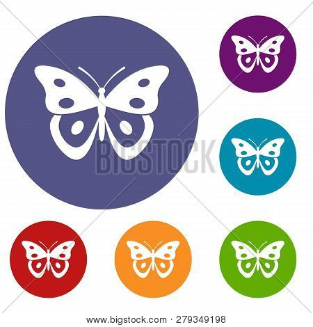 Butterfly Pierid Icons Set In Flat Circle Reb, Blue And Green Color For Web