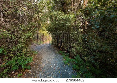 Hiking Trail Millomeris Waterfall Cyprus