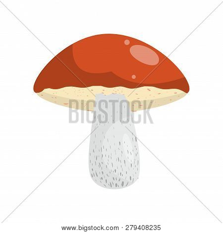 Beautiful Fresh Mushroom Of Unusual Shape. Colored Mushroom For Cooking Mushroom Soup And Other Dish