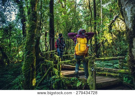 Couples Traveling, Relax In Winter.enjoy Hiking Walking Travel To Study Nature In The Rainforest. At