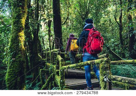 Couples Traveling, Relax In Winter. Walking Travel To Study Nature In The Rainforest. At The Angka, 