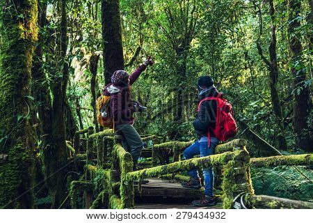 Couples Traveling, Relax In Winter. Walking Travel To Study Nature In The Rainforest. At The Angka, 