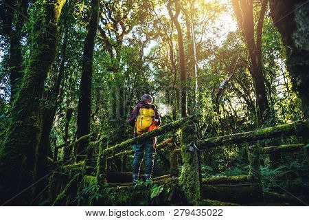 Asian Woman Travel To Study Nature In The Rainforest. Walking On A Bridge With Many Beautiful Green