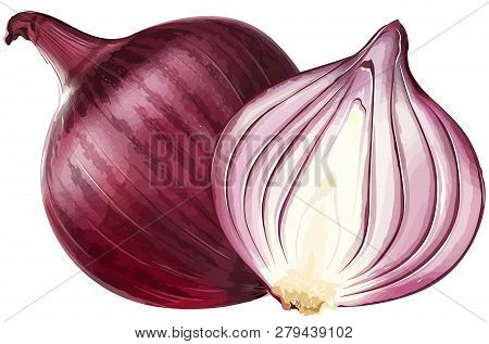 Red Onion Healthy Natural Food Vegetagle Root Illustration