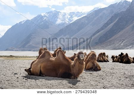 Hunder Sand Dunes With Daylight And Clear Sky