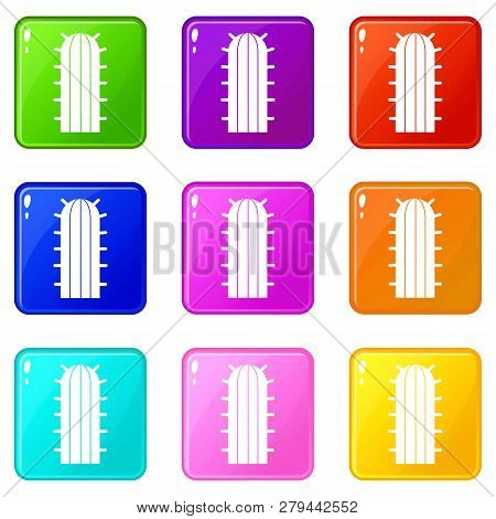 Cereus Candicans Cactus Icons Of 9 Color Set Isolated Illustration