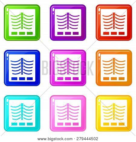 X Ray Photo Icons Of 9 Color Set Isolated Illustration