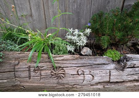 PETSCHIED, ITALY - JULY 14, 2018: Typical flower decoration at on of the old wooden houses in Petschied village near Luson, Northern Italy