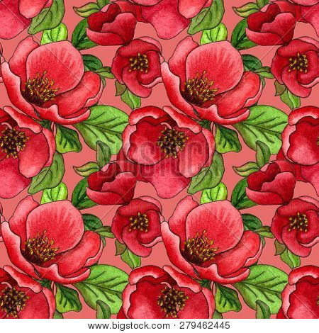 Watercolor Seamless Pattern Of Japanese Quince (chaenomeles) In Bloom, Hand Drawn Floral Illustratio