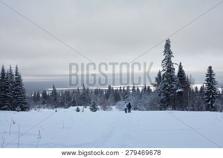Fairy Winter Forest In Zyuratkul National Park.