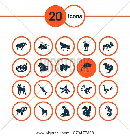 Zoo Icons Set With Moose, Starfish, Giraffe And Other Hippocampus Elements. Isolated Vector Illustra