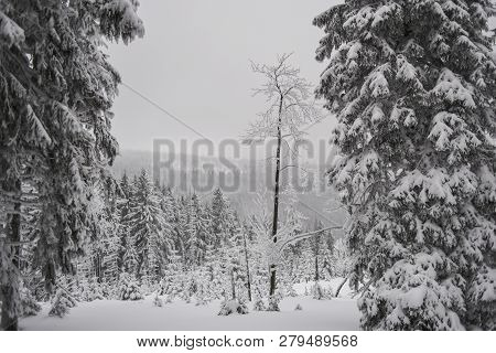 Mountain Winter Landscape In The Giant Mountains In Poland