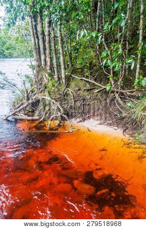 Red Colored Water Of Churun River In National Park Canaima, Venezuela.