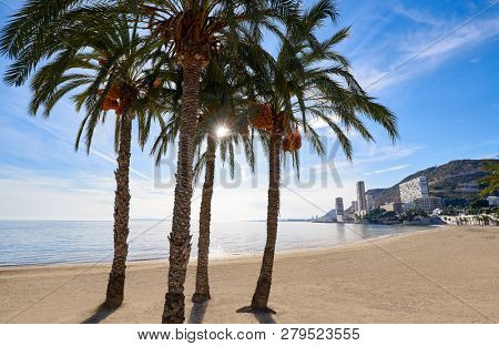 Albufereta beach of Alicante in Costa Blanca of Spain