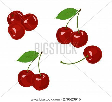 Cherry Vector Illustration. Cherry Collection On White Background.