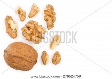 Peelled Walnuts Isolated On White Background With Copy Space For Your Text. Top View. Flat Lay