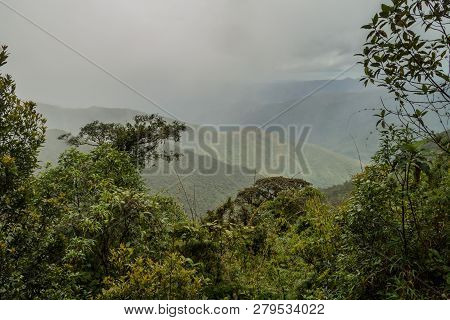 Cloud Forest In National Park Podocarpus In Southern Ecuador