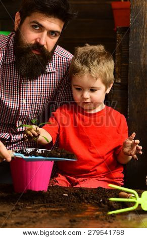 Happy Gardeners With Spring Flowers. Bearded Man And Little Boy Child Love Nature. Flower Care Water