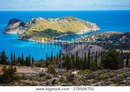 Two Goats Animal Standing Under Cypress Trees Against Amazing Mountainous Landscape Of Assos In Gree