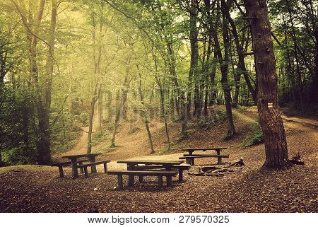 Photo Of A Camp In The Forest