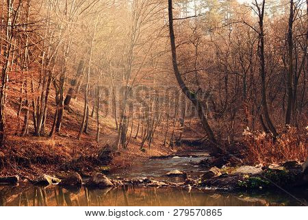 Flowing Steam In The Autumn Colorful Forest