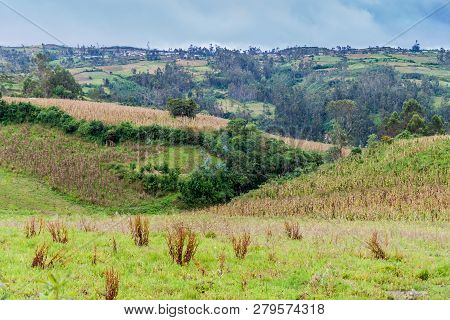 Fields Near Cruz Pata Village, Northern Peru