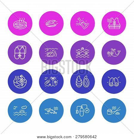 Vector Illustration Of 16 Nautical Icons Line Style. Editable Set Of Cetacean, Cod Fish, Oyster And 