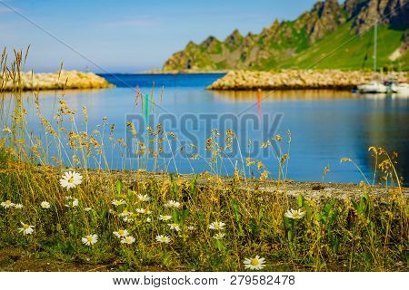 Fishing Port, Bleik Village In Summer Time. Andoya Island, Vesteralen Archipelago.