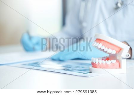 Dentist Learning How To Brush Teeth Concept