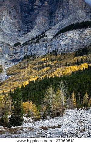 Rocky Mountain