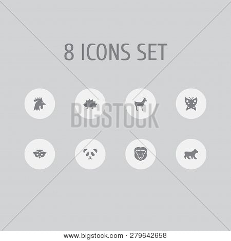 Set Of 8 Zoo Icons Set. Collection Of Owl, Panda, Bear Elements.