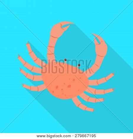 Vector Design Of Food And Sea Symbol. Collection Of Food And Healthy Stock Vector Illustration.