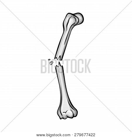 Vector Illustration Of Bone And Skeleton Symbol. Set Of Bone And Human Stock Vector Illustration.