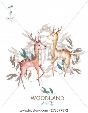 Cute Baby Deers Animal Isolated Illustration For Children. Bohemian Watercolor Boho Forest Deer Fami