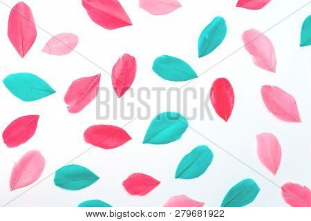 Fucsia And Turquoise Feminine Colors Scatted Feathers Isolated On White Background