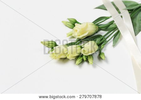 Fresh White Flowers Eustoma On White Background With Copy Space. Young Tender Flower Buds.
