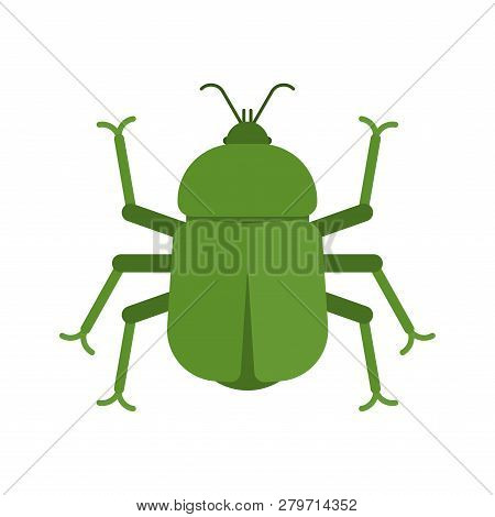 Beetle Isolated. Bug Insect On White Background. Vector Illustration.