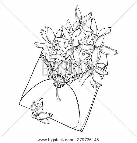 Vector Bouquet With Outline Forsythia Flower, Branch, Leaves In Open Craft Envelope In Black Isolate