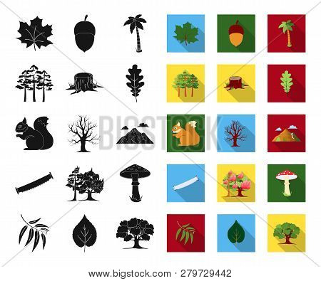 Forest And Nature Black, Flat Icons In Set Collection For Design. Forest Life Vector Symbol Stock We