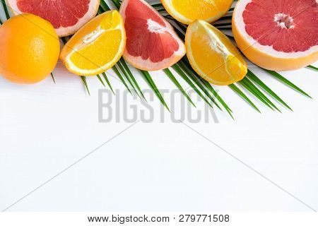 The Basis For The Banner With Palm Leaf And Fruit. Grepfruit, Orange, Palm Leaf With Space For Copis