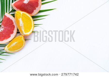 The Basis For The Banner With Palm Leaf And Fruit. Grepfruit, Orange, Palm Leaf With Space For Copis